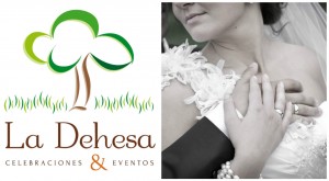 Como elegir el menú de tu boda